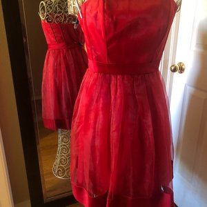 RED Valenties dress.